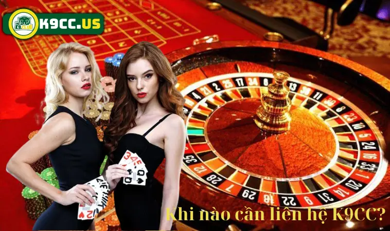 Khi nào cần liên hệ K9CC? Khi nào cần liên hệ K9CC?